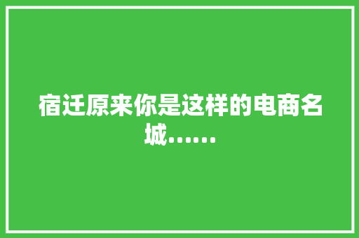 宿迁原来你是这样的电商名城……