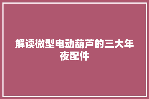 解读微型电动葫芦的三大年夜配件