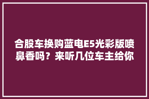 合股车换购蓝电E5光彩版喷鼻香吗？来听几位车主给你算一笔经济账
