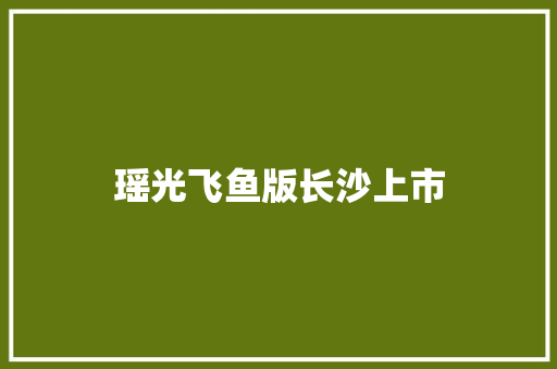 瑶光飞鱼版长沙上市