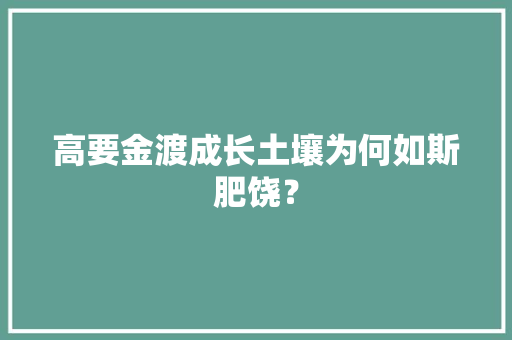 高要金渡成长土壤为何如斯肥饶？