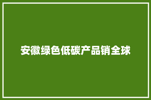 安徽绿色低碳产品销全球 安徽绿色低碳产品销全球 智能家居