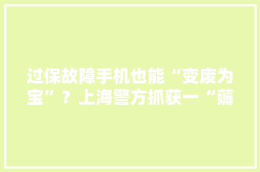 过保故障手机也能“变废为宝”？上海警方抓获一“薅羊毛”诱骗团伙