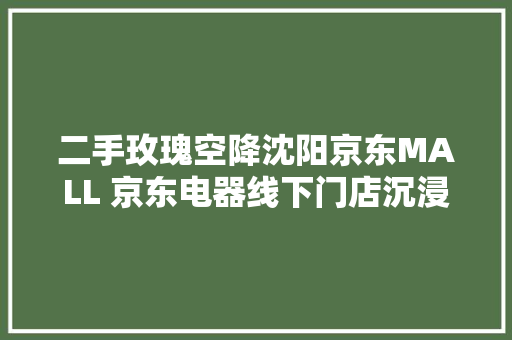 二手玫瑰空降沈阳京东MALL 京东电器线下门店沉浸式体验打造别样跨年夜大年夜