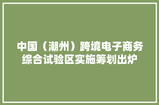 中国（潮州）跨境电子商务综合试验区实施筹划出炉
