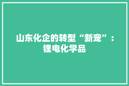 山东化企的转型“新宠”：锂电化学品