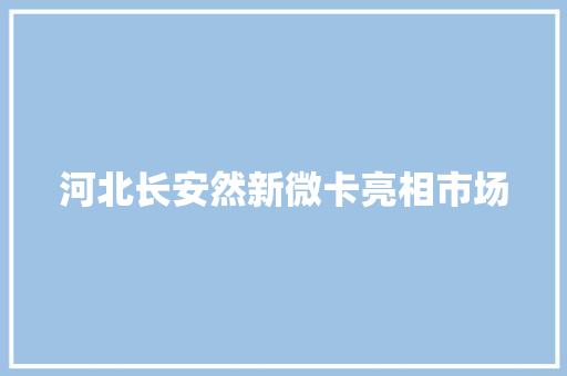 河北长安然新微卡亮相市场