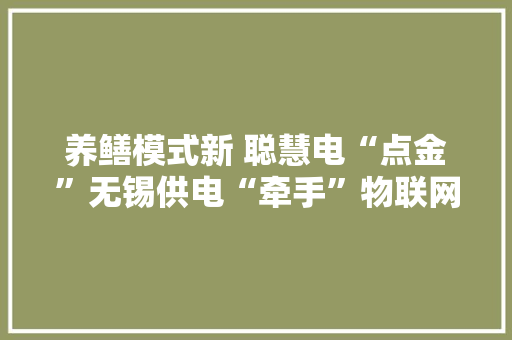 养鳝模式新 聪慧电“点金”无锡供电“牵手”物联网 赋能村落电气化改造