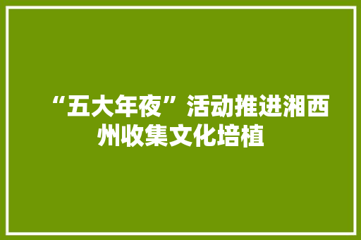 “五大年夜”活动推进湘西州收集文化培植