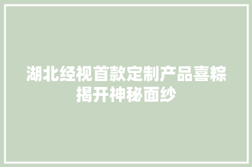 湖北经视首款定制产品喜粽揭开神秘面纱 湖北经视首款定制产品喜粽揭开神秘面纱 智能科技