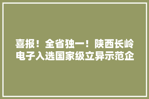 喜报！全省独一！陕西长岭电子入选国家级立异示范企业名单