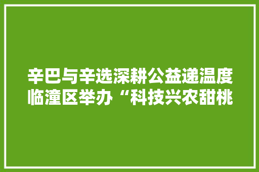 辛巴与辛选深耕公益递温度临潼区举办“科技兴农甜桃采摘活动