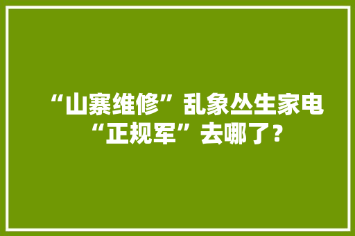 “山寨维修”乱象丛生家电“正规军”去哪了？ “山寨维修”乱象丛生家电“正规军”去哪了？ 互联通信