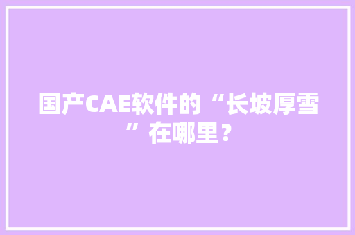 国产CAE软件的“长坡厚雪”在哪里？