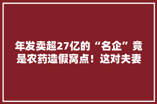 年发卖超27亿的“名企”竟是农药造假窝点！这对夫妻扮演六七个角色