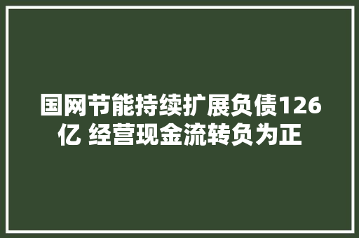 国网节能持续扩展负债126亿 经营现金流转负为正