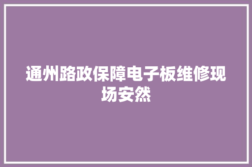 通州路政保障电子板维修现场安然