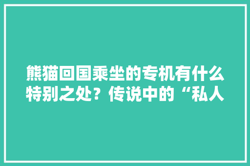 熊猫回国乘坐的专机有什么特别之处？传说中的“私人订制”