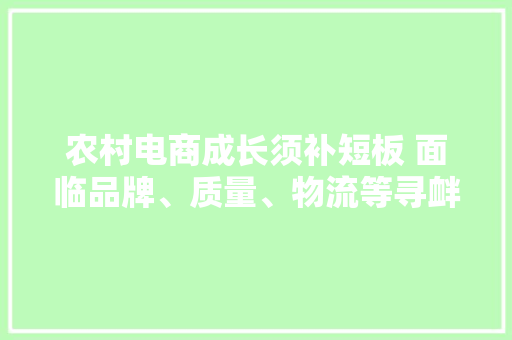 农村电商成长须补短板 面临品牌、质量、物流等寻衅 农村电商成长须补短板 面临品牌、质量、物流等寻衅 人工智能