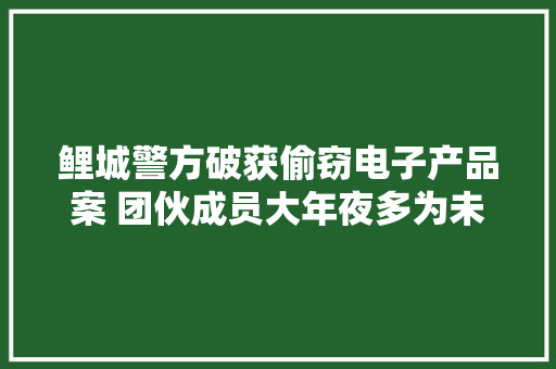 鲤城警方破获偷窃电子产品案 团伙成员大年夜多为未成年