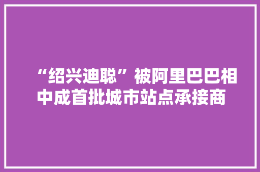 “绍兴迪聪”被阿里巴巴相中成首批城市站点承接商