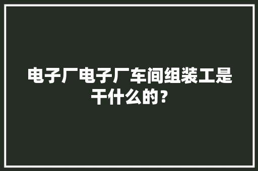 电子厂电子厂车间组装工是干什么的？