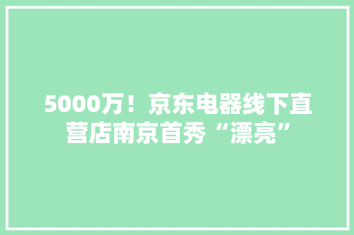 5000万！京东电器线下直营店南京首秀“漂亮”