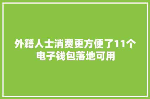 外籍人士消费更方便了11个电子钱包落地可用