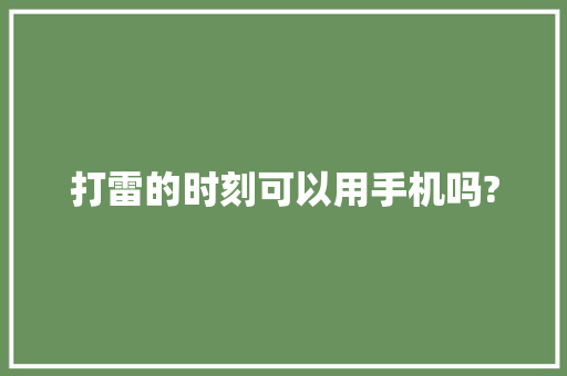 打雷的时刻可以用手机吗? 打雷的时刻可以用手机吗? 互联通信