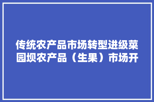 传统农产品市场转型进级菜园坝农产品（生果）市场开园了