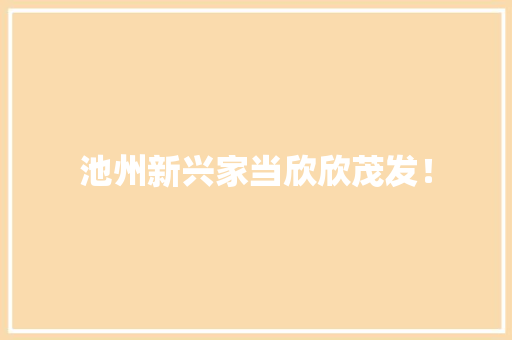池州新兴家当欣欣茂发！