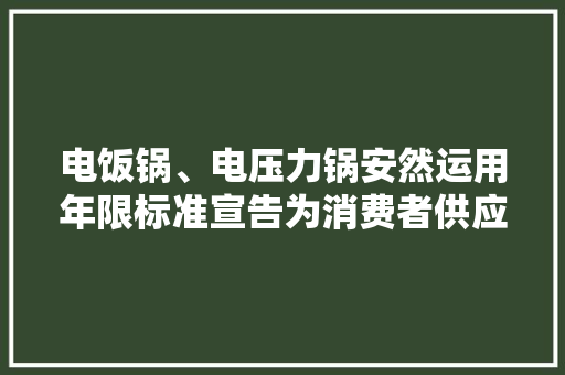 电饭锅、电压力锅安然运用年限标准宣告为消费者供应安然提醒