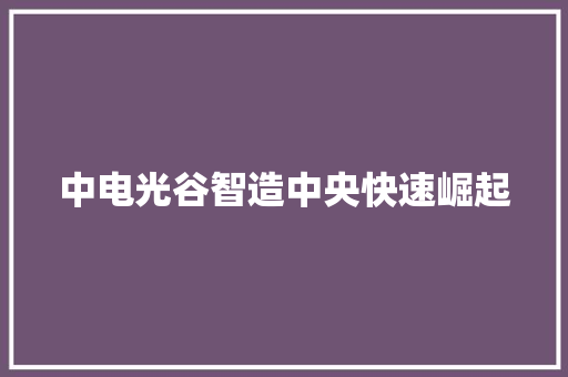 中电光谷智造中央快速崛起