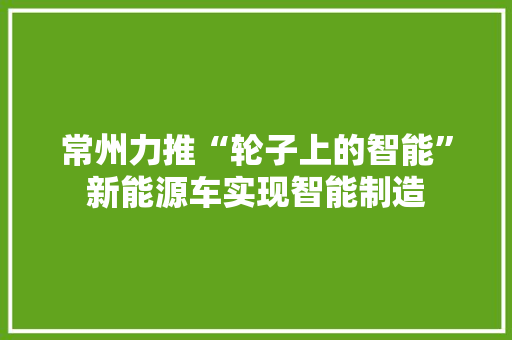 常州力推“轮子上的智能”新能源车实现智能制造