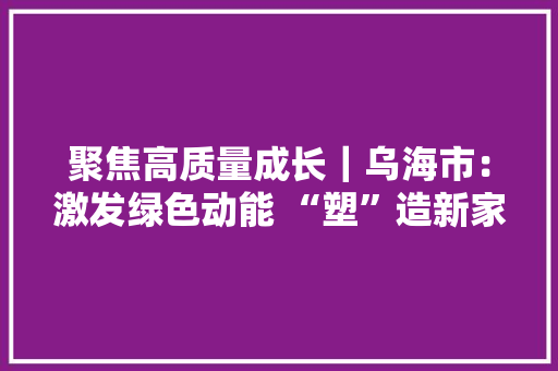 聚焦高质量成长｜乌海市：激发绿色动能 “塑”造新家当链