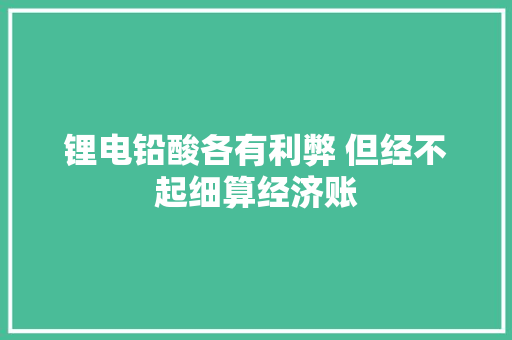 锂电铅酸各有利弊 但经不起细算经济账