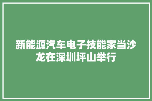 新能源汽车电子技能家当沙龙在深圳坪山举行 新能源汽车电子技能家当沙龙在深圳坪山举行 人工智能