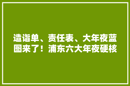 造诣单、责任表、大年夜蓝图来了！浦东六大年夜硬核家当迎来大年夜成长