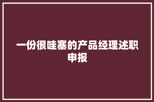 一份很哇塞的产品经理述职申报