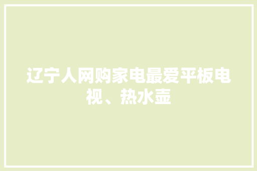 辽宁人网购家电最爱平板电视、热水壶 辽宁人网购家电最爱平板电视、热水壶 智能家居
