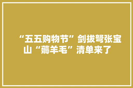 “五五购物节”剑拔弩张宝山“薅羊毛”清单来了