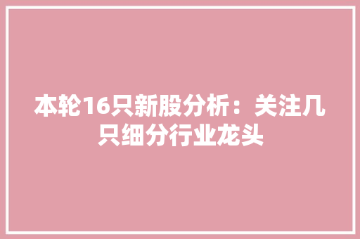 本轮16只新股分析：关注几只细分行业龙头