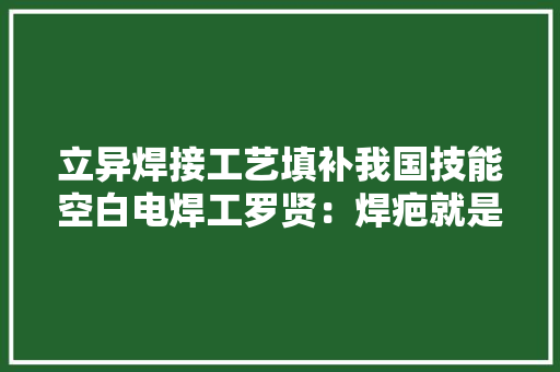 立异焊接工艺填补我国技能空白电焊工罗贤：焊疤就是我最好的勋章