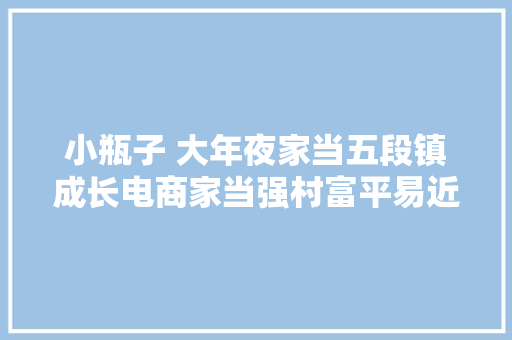 小瓶子 大年夜家当五段镇成长电商家当强村富平易近的查询访问