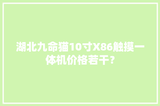 湖北九命猫10寸X86触摸一体机价格若干？