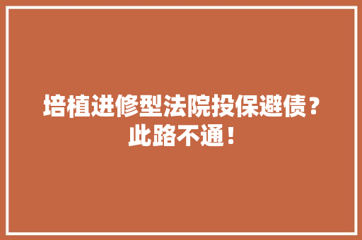培植进修型法院投保避债？此路不通！ 培植进修型法院投保避债？此路不通！ 互联通信