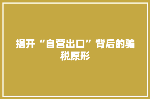 揭开“自营出口”背后的骗税原形