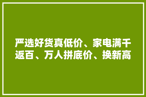 严选好货真低价、家电满千返百、万人拼底价、换新高补贴 严选好货真低价、家电满千返百、万人拼底价、换新高补贴 人工智能