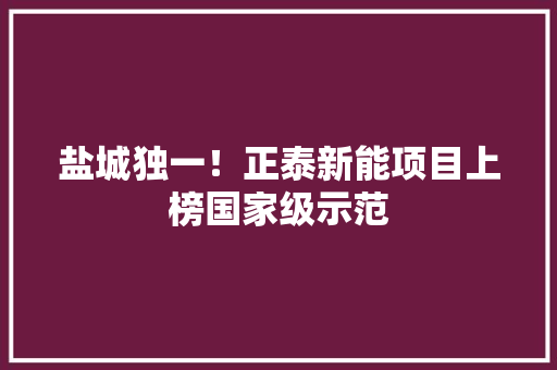 盐城独一！正泰新能项目上榜国家级示范