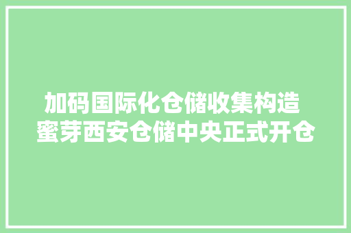 加码国际化仓储收集构造 蜜芽西安仓储中央正式开仓运营